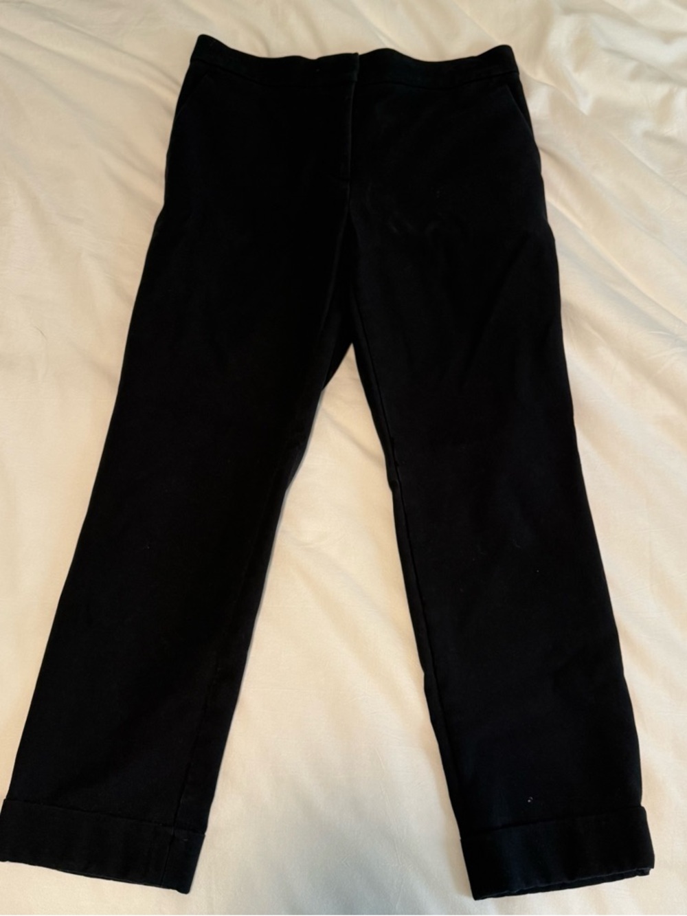 Ann Taylor Dress Pant